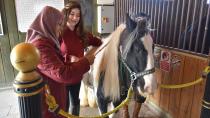 Pendik’te 65 Yaş Üstü Bireyler Atlı Terapiyle Hayata Bağlanıyor